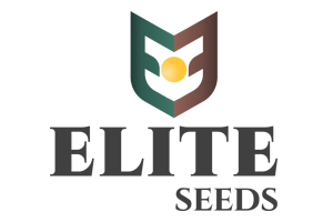 Elite Seeds